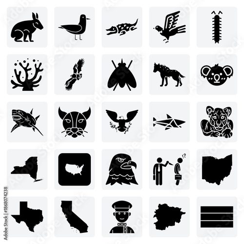 A Diverse Collection Of World Fauna – Including The Albatross, Aardvark, And Centipede For Educational And Conservation Projects