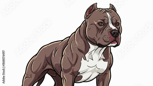 American Pit Bull Terrier Dog Illustration.