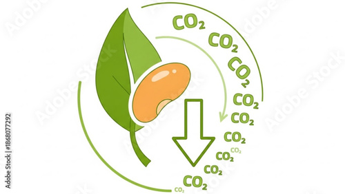A vector graphic illustration of a leaf and seedling with CO2 molecules in a circular motion