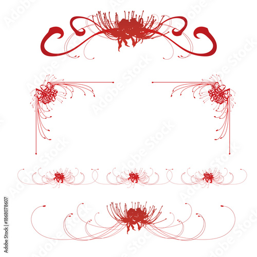 Japanese spider lily vector illustration