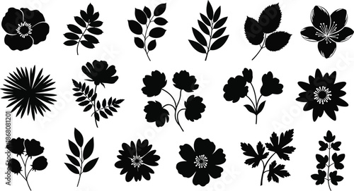 Collection of floral silhouettes and botanical elements on transparent background