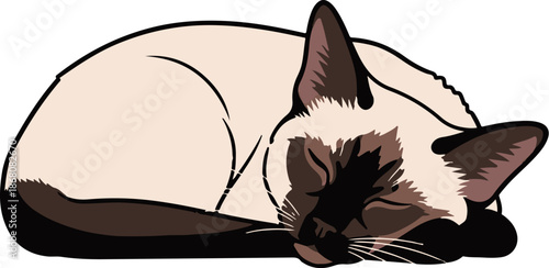 A minimalist illustration of a light-colored cat with dark points, curled up sleeping peacefully