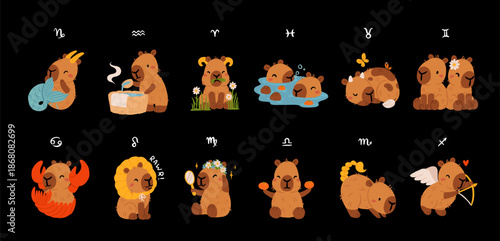 Capybara zodiac signs kawaii vector set, cute cartoon astrology animals clipart. Horoscope symbols collection, flat EPS10 illustration for stickers, prints and social media