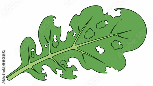 A green leaf with jagged edges and holes