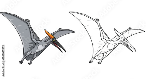 Pterosaur Vector Illustration Template Featuring Sleek Prehistoric Flying Reptile Outline
