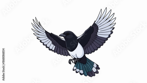 A detailed illustration of a black and white bird with wings spread wide, in flight