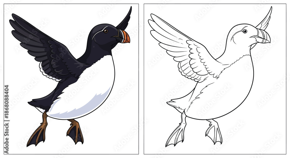 Fototapeta premium Two Puffin Birds Coloring Page Comparison With Colored and Black and White Outline Versions