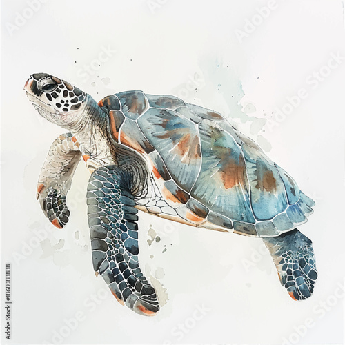 Natural vector illustration of a large sea turtle animal, postcard, sticker