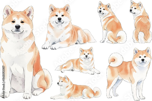 秋田犬の水彩風イラストセット