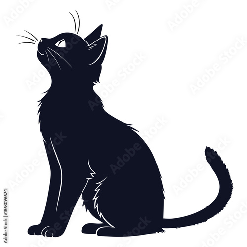 Curious black kitten silhouette