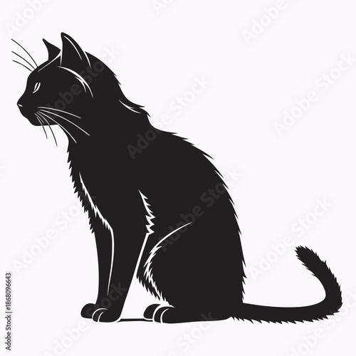Silhouette of a black cat