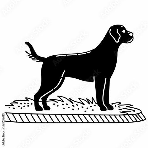 Black dog standing on grass