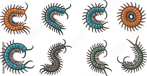 Cartoon centipede illustrations, colorful segmented insects, curled poses, multiple legs, vector design, editable, isolated, playful bug artwork, icons