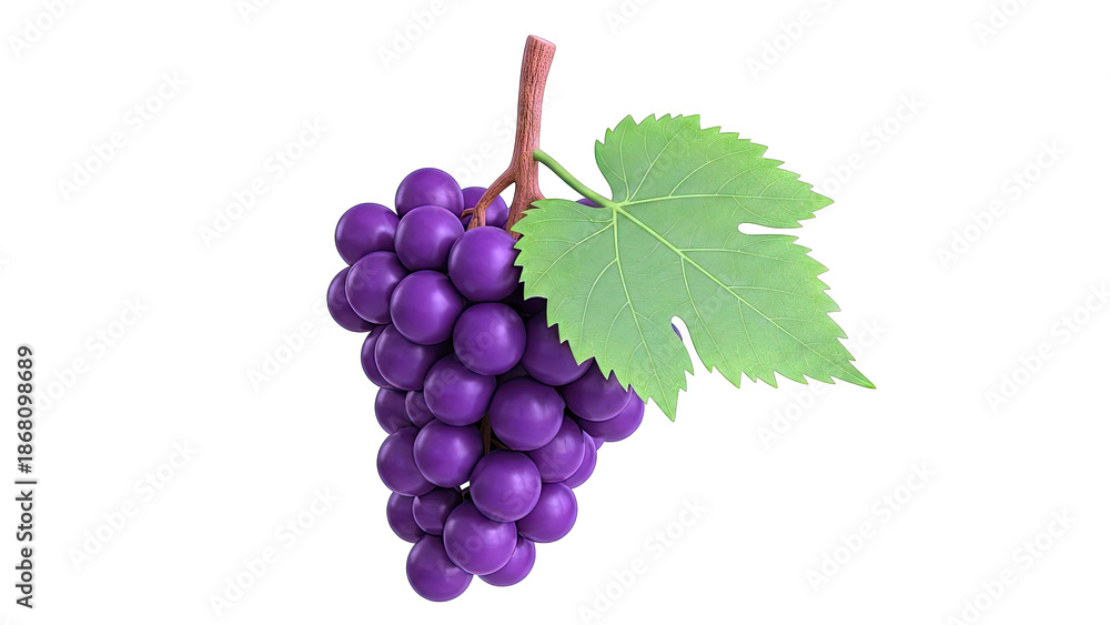 Fototapeta premium Cluster of Purple Grapes with a Green Leaf