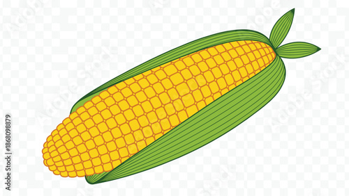 Corn illustration, yellow kernels, green husk, agricultural vector, food icon, editable design, isolated, cartoon style, healthy vegetable artwork