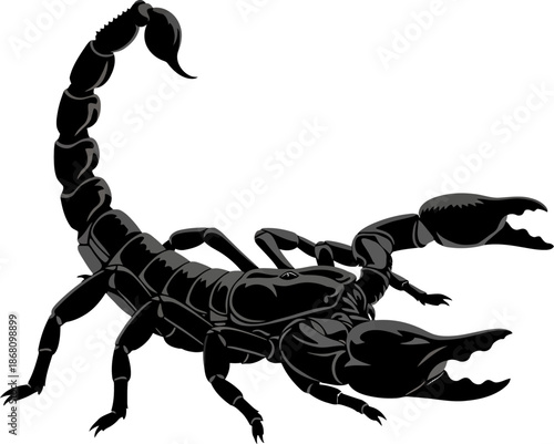 Black Scorpion Insect Illustration Vector Art of Arachnid Predator with Claws and Stinger desert animal