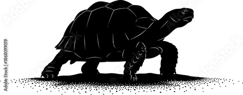 Silhouette of a Galapagos Tortoise Walking Slowly on Sandy Ground desert animal