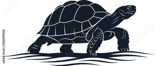 Silhouette of a Giant Tortoise Walking Steadily Over Rippling Waves desert animal