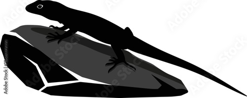Black Silhouette of a Lizard or Gecko Perched on a Jagged Rock desert animal