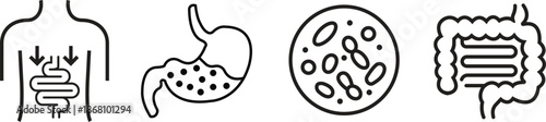 Digestive system organ icons set in black outline styles. Vectors graphic illustration depicting human Stomach, intestine gut health, probiotics and digesting process minimalist designs elements.