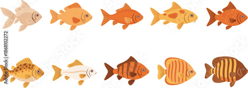 Stylized Cartoon Fish Vector Set with Patterned Bodies Cute Colorful Aquatic Illustration Collection