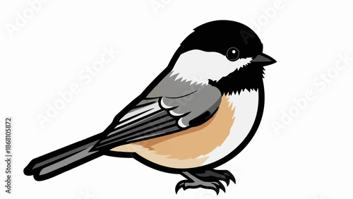 A small bird with a black head and white cheeks, gray back and wings, and buffy underside