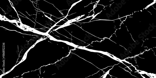 Elegant black marble texture with bold white natural veins forming dramatic cracks. High-resolution stone background ideal for luxury design, interior decor, tiles, surfaces, wallpapers, and branding.