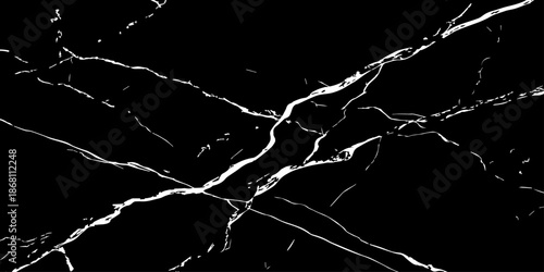 Elegant black marble texture with bold white natural veins forming dramatic cracks. High-resolution stone background ideal for luxury design, interior decor, tiles, surfaces, wallpapers, and branding.