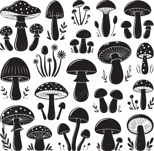black and white illustration of various mushrooms and plants