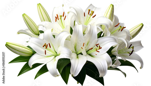 Isolated on a white background, this closeup of a bouquet of white lilies showcases the floral beauty of a blooming spring plant with delicate petals, fresh green leaves, and a yellow bud
