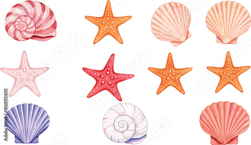 Seashell and Starfish Vector Set with Nautilus Shells Pastel Marine Elements Summer Beach Illustration Collection