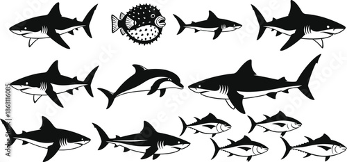 Shark and Fish Silhouette Vector Set with Marine Predator and Ocean Wildlife Black Illustration Collection