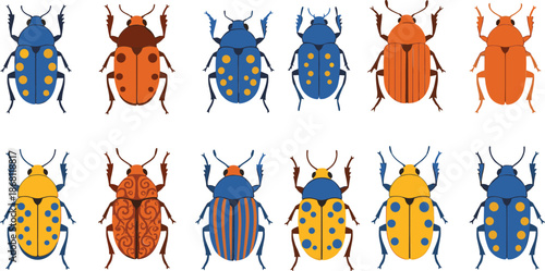 Colorful Beetle Vector Set with Decorative Patterns Cute Insect Collection Flat Entomology Illustration