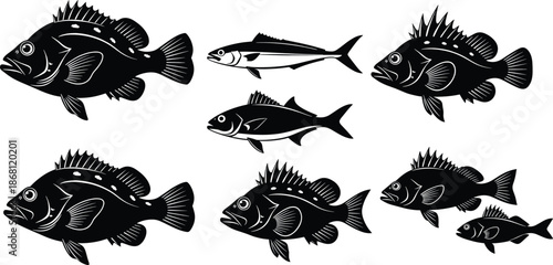Black Fish Silhouette Vector Set with Spiny Fin Species Marine Aquatic Wildlife Illustration Collection
