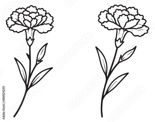 Hand drawn line art flower set featuring carnation blossoms for floral decoration