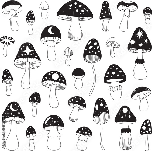 Various black and white mushrooms with decorative caps and stems