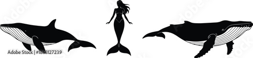 Mermaid and Whale Silhouette Vector with Ocean Fantasy Mythical Sea Creatures Black Illustration Collection