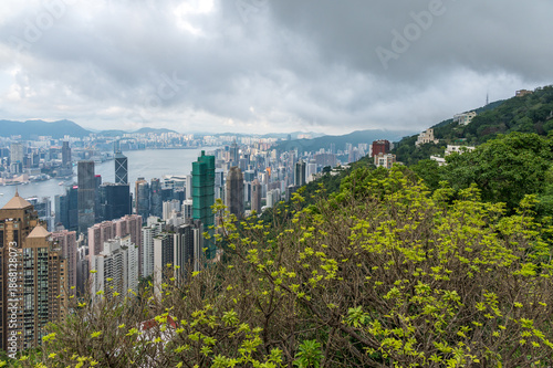 Wallpaper Mural View of Hong Kong and Kowloon from Victoria peak. Panorama of Hong Kong, skyscrapers and nature. Hong Kong, China Torontodigital.ca