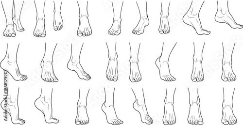 Bare feet in various positions human feet foot anatomy line black and white