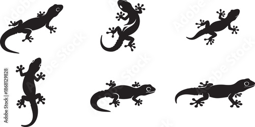 Gecko Silhouette Set Featuring Various Species from Top and Side Views, Reptile Wildlife Vector Illustrations for Wall Art and Graphic Design , Generative Ai