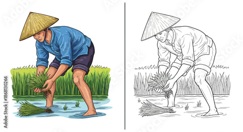Traditional Farmer Planting Rice in Paddy Field Manual Agricultural Labor Illustration