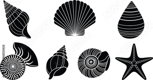 Seashell and Starfish Silhouette Vector Set with Nautilus and Conch Shapes Black Marine Illustration