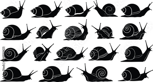 Snail Silhouette Vector Set with Multiple Crawling Poses Black Garden Mollusk Wildlife Illustration Collection