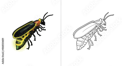 Firefly Illustration Comparison Featuring Colorful and Outlined Mantis Shrimp Style Designs