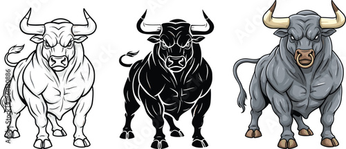 Muscular bull in black and white and gray white background