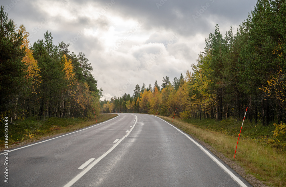 Fototapeta premium Empty autumn road through colorful forest in Finnish Lapland