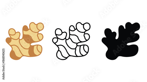 Three ginger root icons in different styles on a white background