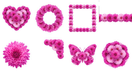 Pink chrysanthemum flower set including heart, wreath, square frame, border, and butterfly shapes isolated. Floral design and wedding decoration elements.