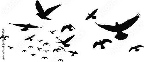 flying bird silhouettes vector, bird flock clipart, wildlife bird svg, nature bird illustration, freedom bird graphics, black bird silhouettes, sky vector art, bird motion design, flying bird collecti