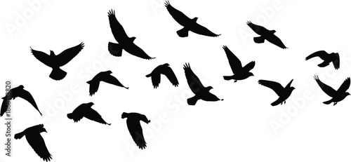 flying bird silhouettes vector, bird flock clipart, wildlife bird svg, nature bird illustration, freedom bird graphics, black bird silhouettes, sky vector art, bird motion design, flying bird collecti